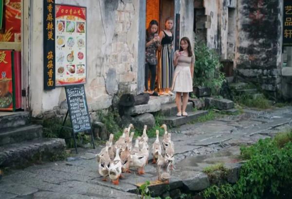 十一長假，想找個安靜小眾的皖南千年古村呆幾天？最推薦這裡