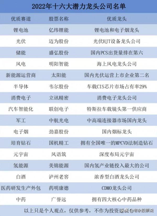 2022年優質賽道的十六大潛力龍頭公司，值得收藏研究