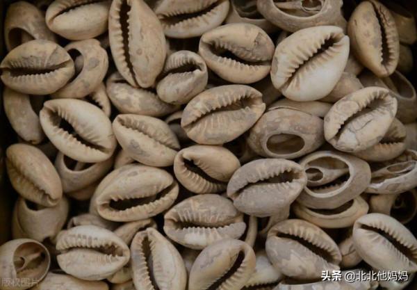 先秦時期錢幣圖譜