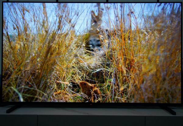 最適合有娃和影視一族的OLED電視Sony65A80J 最適合有娃和影視一族的OLED電視Sony65A80J