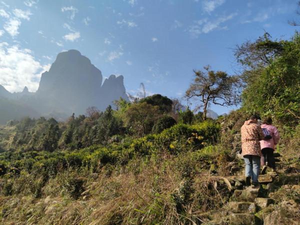 行走大瑤山