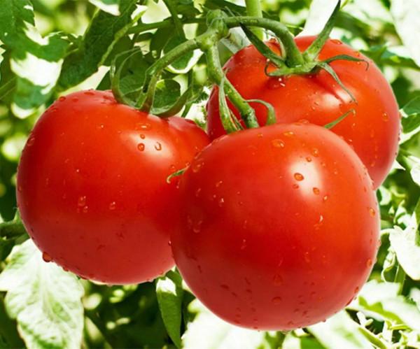 十大農產品別名