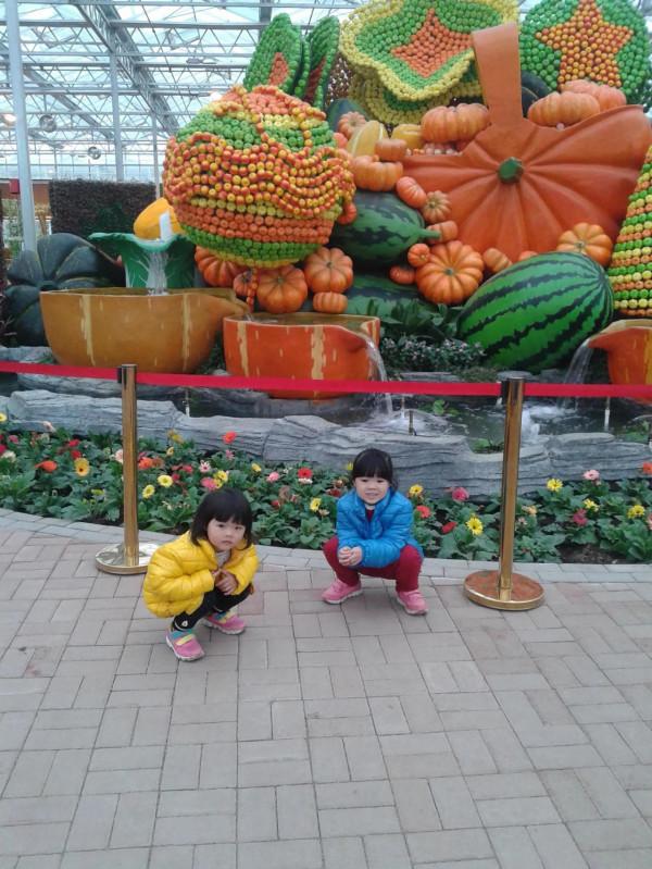 五彩田園，美麗的田園