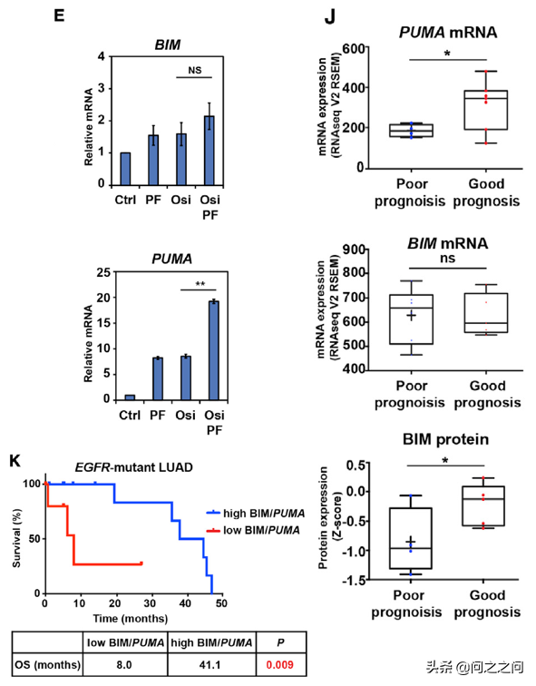 靶向Aurora B激酶增強BIM和PUMA介導的細胞凋亡克服EGFR抑制劑耐藥 靶向Aurora B激酶增強BIM和PUMA介導的細胞凋亡克服EGFR抑制劑耐藥