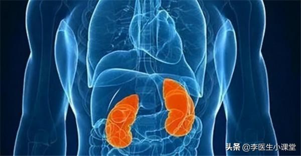 腎功能受損有哪些徵兆？醫生：除了泡沫尿，這幾種症狀也要警惕