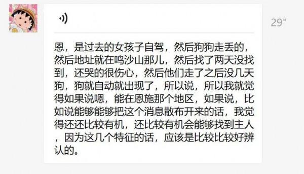 這隻小狗在敦煌，等了你整整兩年