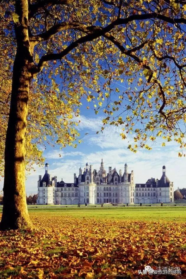 剛剛,法國用這樣的“凡爾賽”,再次驚豔了世界 剛剛,法國用這樣的“凡爾賽”,再次驚豔了世界