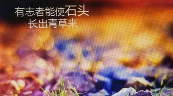 業精於勤,人貴有恆 業精於勤,人貴有恆