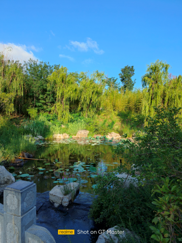 realme真我GT大師探索版的表現,讓我們看到了庫克與喬布斯的差距 realme真我GT大師探索版的表現,讓我們看到了庫克與喬布斯的差距