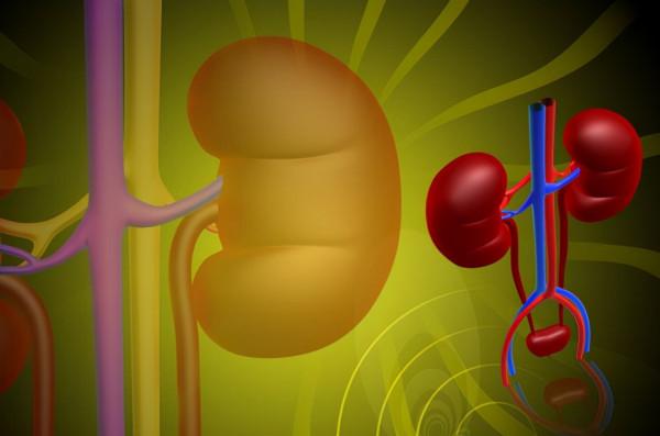 男子酒後嘔吐查出腎衰,甲狀腺瘤術後肌酐下降,中醫調理預防復發 男子酒後嘔吐查出腎衰,甲狀腺瘤術後肌酐下降,中醫調理預防復發