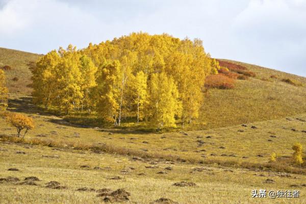 中秋佳節去哪裡,賞秋勝地,濃墨重彩的烏蘭布統秋景 中秋佳節去哪裡,賞秋勝地,濃墨重彩的烏蘭布統秋景