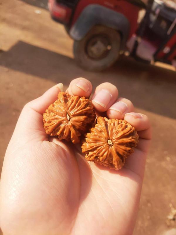 週末跟媳婦兒出來一塊瞅個書桌,學習、刷核桃用 週末跟媳婦兒出來一塊瞅個書桌,學習、刷核桃用