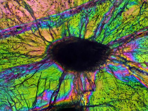 提森特（Tissint）火星隕石薄片