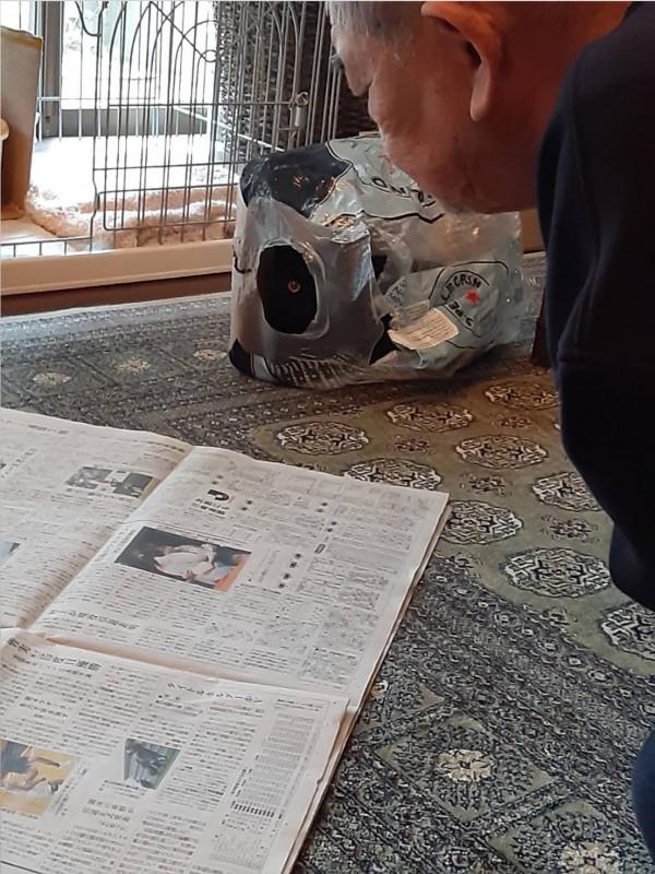 日本老爺爺救回一隻被烏鴉攻擊的小黑貓，擼貓半年人都變年輕了