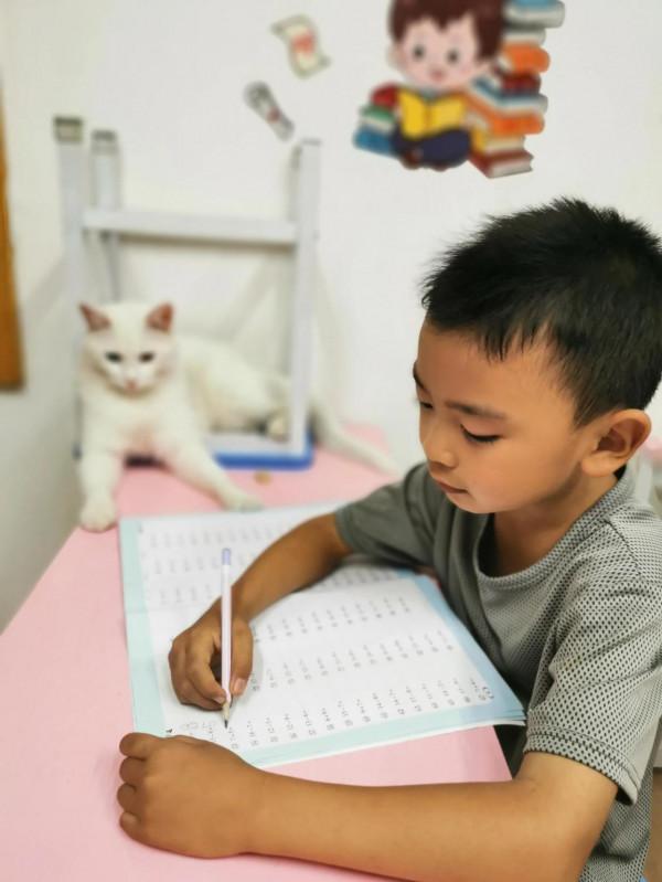 我們的毛孩子——端午 我們的毛孩子——端午