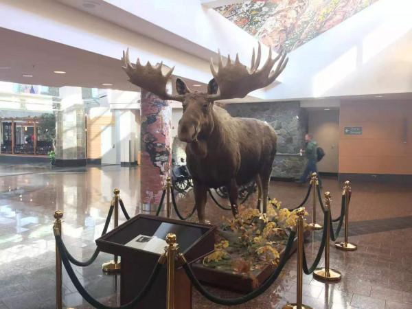 #微信朋友圈的回憶# 2016年9月27日、28日 阿拉斯加安克雷奇 #微信朋友圈的回憶# 2016年9月27日、28日 阿拉斯加安克雷奇