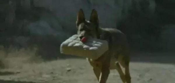 評分最低的十大華語電影,《小時代》未上榜,《上海堡壘》排第9 評分最低的十大華語電影,《小時代》未上榜,《上海堡壘》排第9