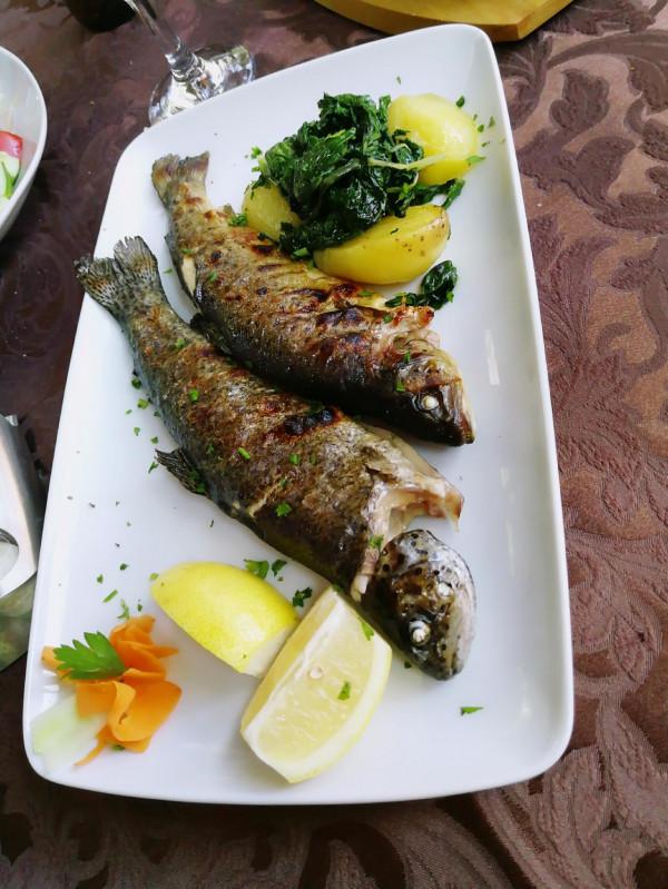 塞爾維亞和波黑之旅