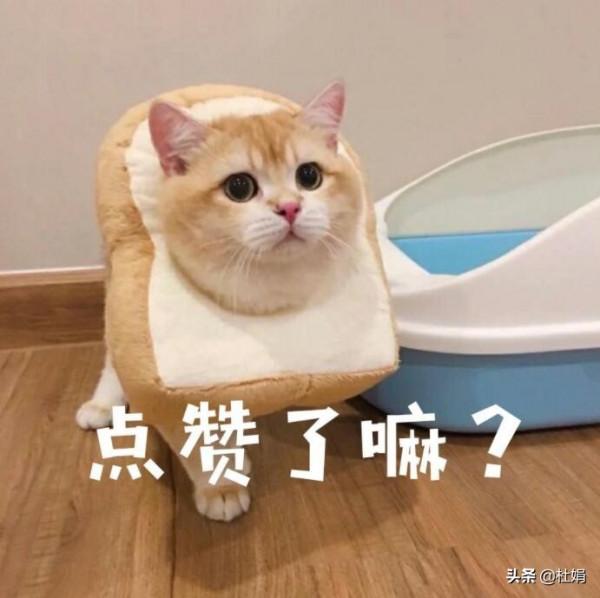 譚維維+鄧麗君這兩招太絕，跨年演唱會江蘇衛視這次又佔C位了