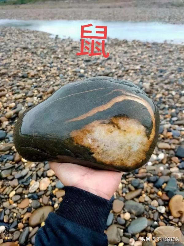 十二生肖畫面奇石,想要湊齊真不容易 十二生肖畫面奇石,想要湊齊真不容易