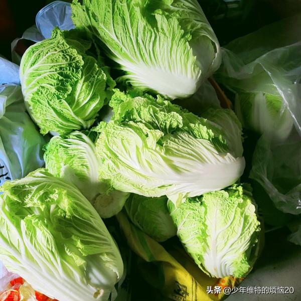 後天立冬了,這“8種”蔬菜多囤點,好吃易儲存,想吃不用經常買 後天立冬了,這“8種”蔬菜多囤點,好吃易儲存,想吃不用經常買