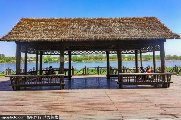 部分免費！北京賞秋“價效比”最高選擇都在這兒了！