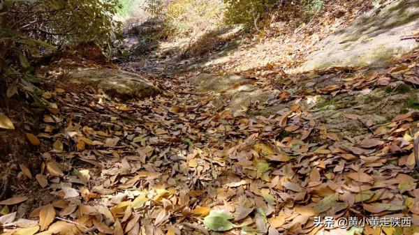 坐5元班車進秦嶺深處，抵達西安最有詩意的小鎮，山水紅葉任人賞