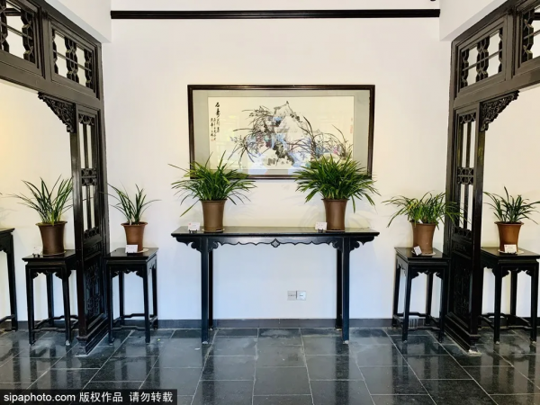 不出京賞春花，穿梭&OpenCurlyDoubleQuote;熱帶雨林&rdquo;，就在北京這些地方！