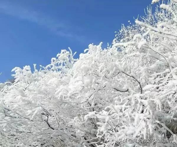 四季美景內卷天花板，必是東太行！