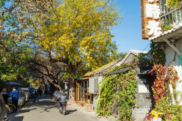 國內“專坑遊客”的10大美食街，你去過幾個？