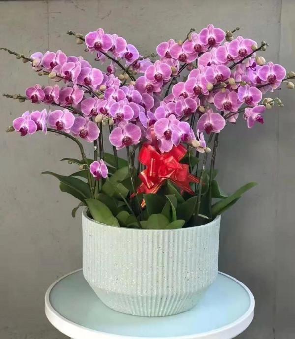 掌握這7個好習慣，讓你收穫不一樣的人生