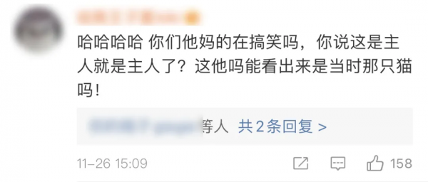 一隻貓，讓《當家主母》的評分一降再降