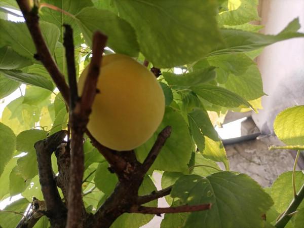 家中煩事(隨筆) 家中煩事(隨筆)