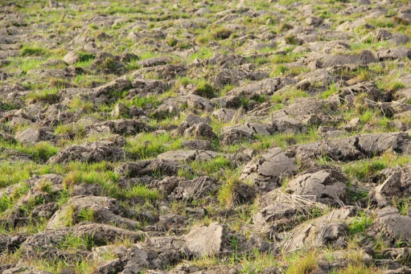 漢字宮智慧教育《字說字寫》之土II滋養萬物 漢字宮智慧教育《字說字寫》之土II滋養萬物