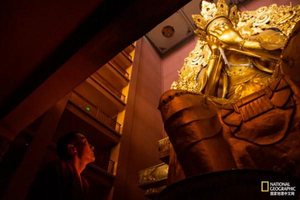 怒放的木裡，美到不真實