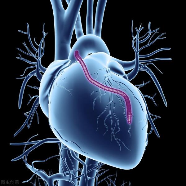 醫生科普,心力衰竭的基礎藥物治療:利尿藥 醫生科普,心力衰竭的基礎藥物治療:利尿藥