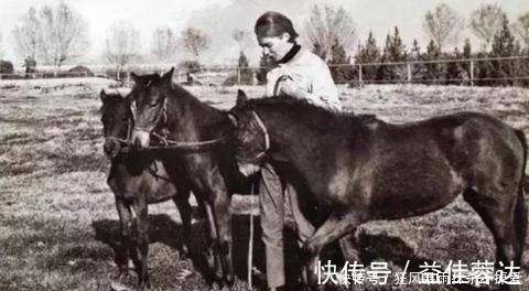 4種滅絕後仍存在的生物，其中五小葉槭為中國獨有