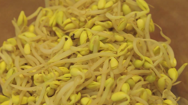 這才是黃豆芽的正確做法，爽脆入味不出水，開胃下飯又營養