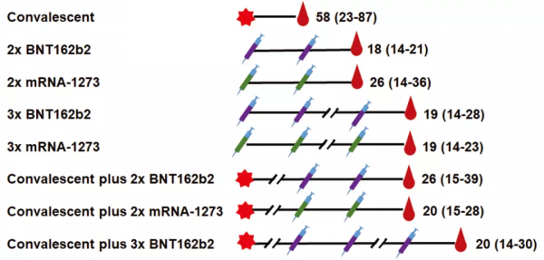 2020年出生的嬰兒社交和運動水平偏低，奧密克戎感染者更年輕、臨床表現更輕丨新冠研究一週進展