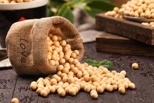 調節血脂好幫手,原來大豆這麼有營養 調節血脂好幫手,原來大豆這麼有營養