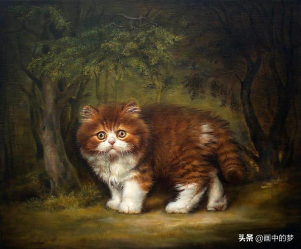 精緻活潑的貓貓,實在太可愛了 精緻活潑的貓貓,實在太可愛了