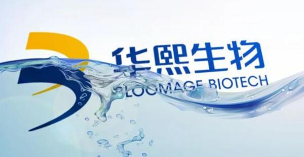 花2小時整理了10只A股中在全球排名第一的中國公司