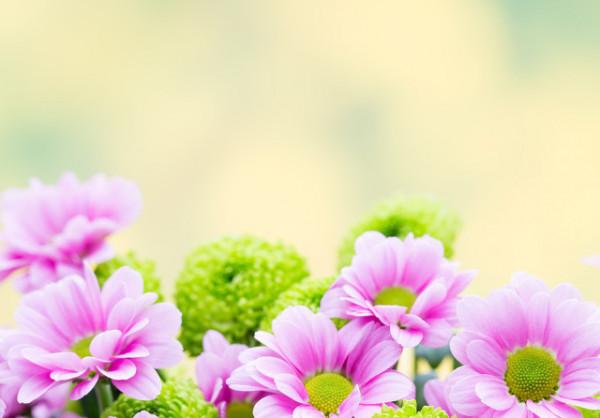 50到60歲是存錢黃金10年，你存下錢了嗎？3個女人說出心裡話