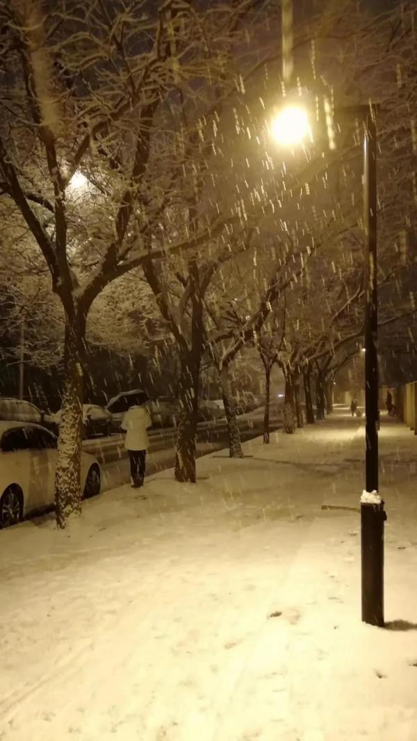 北京、天津、河北大雪紛飛！三月裡的桃花雪，初春裡的倒春寒