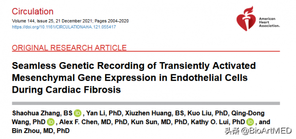 Circulation | 心臟損傷後肌成纖維細胞的來源及形成過程