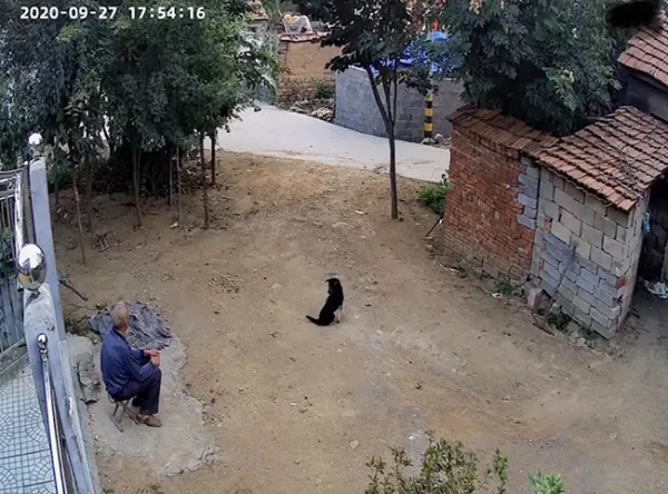 當代年輕人的“雲陪伴”：給父母裝監控