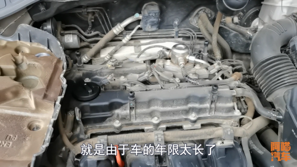 二手車買幾年車齡的最划算？超過十年的車還能買嗎？喵哥實話實說