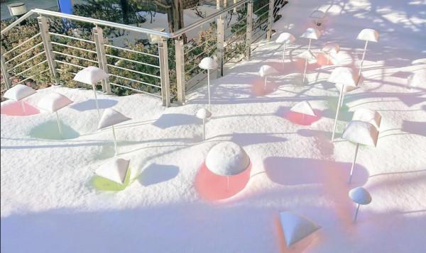 雪托盤承載札幌的原始美