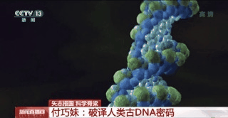 付巧妹:破譯人類古DNA密碼 人類演化本身就是終極命題 付巧妹:破譯人類古DNA密碼 人類演化本身就是終極命題