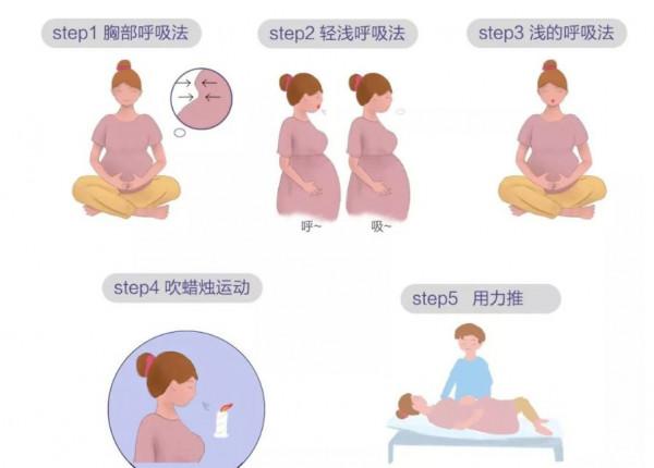 增強骨盆肌肉力量的運動 增強骨盆肌肉力量的運動